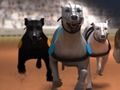Oyunu Greyhound yarışı çevrimiçi