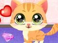 Oyunu Kitty eğlenceli bakımı çevrimiçi