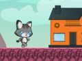 Oyunu Kaybolan Kedi Eve Gidiyor çevrimiçi