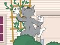 Oyunu Tom ve Jerry: Wasserbomben Wahnsinn  çevrimiçi