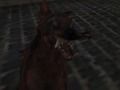 Oyunu Nazi Zombi Ordusu  çevrimiçi