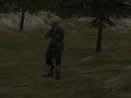 Oyunu FPS Ajansı: Orman  çevrimiçi