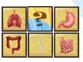 Oyunu İnsan organ tarayıcısı  çevrimiçi