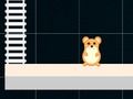 Oyunu Akıllı Hamster: Çift ve Tek  çevrimiçi