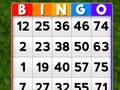 Oyunu Bingo çevrimiçi