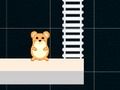Oyunu Akıllı Hamster Zamanı  çevrimiçi