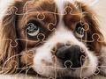 Oyunu Komik köpekler bulmaca  çevrimiçi