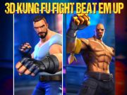 Oyunu 3D Kung Fu Dövüşü çevrimiçi