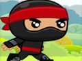 Oyunu Ninja çevrimiçi