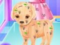 Oyunu Bebek Elsa Yavru Köpek Ameliyatı çevrimiçi Oyunu Bebek Elsa Yavru Köpek Ameliyatı çevrimiçi