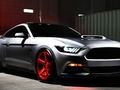 Oyunu Günlük Mustang çevrimiçi