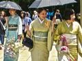 Oyunu Japonya'da 100 kelebek  çevrimiçi