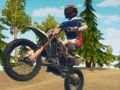 Oyunu Dirt Bike Enduro Yarışı  çevrimiçi