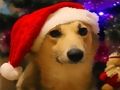 Oyunu Komik Noel Köpekleri  çevrimiçi