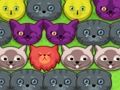 Oyunu Pop-pop kedileri çevrimiçi