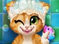 Oyunu Rusty Kitten Banyosu  çevrimiçi