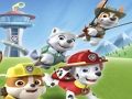 Oyunu Paw Patrol Boyama  çevrimiçi
