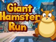 Oyunu Dev Hamster Koşusu  çevrimiçi
