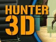 Oyunu Avcı 3D çevrimiçi