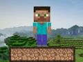 Oyunu Minecraft Hayatta Kalma  çevrimiçi