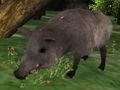 Oyunu Yaban Domuzu Avı Bulmacası çevrimiçi
