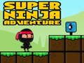 Oyunu Süper Macera Ninjası  çevrimiçi