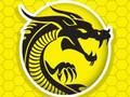 Oyunu Kung Fu Öfke çevrimiçi