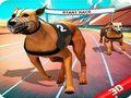 Oyunu Çılgın Köpek Yarışı  çevrimiçi