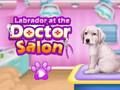 Oyunu Labrador doktorda çevrimiçi