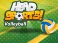 Oyunu Baş Spor Voleybolu çevrimiçi