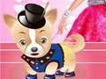 Oyunu Barbie'nin Köpeğini Giydirme  çevrimiçi