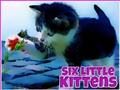 Oyunu Altı küçük yavru kedi çevrimiçi