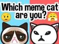 Oyunu Hangi meme kedisisin? çevrimiçi