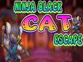 Oyunu Ninja Siyah Kedi Kaçış çevrimiçi