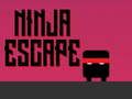 Oyunu Ninja kaçış  çevrimiçi