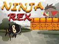 Oyunu Ninja Rex'i  çevrimiçi