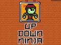 Oyunu Yukarı Aşağı Ninja  çevrimiçi