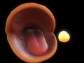Oyunu Pac-Man çevrimiçi