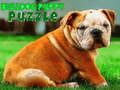 Oyunu Bulldog Köpek Yapboz  çevrimiçi