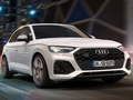 Oyunu Audi SQ5 TDI Kaydırak  çevrimiçi