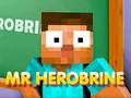 Oyunu Bay Herobrine çevrimiçi