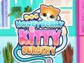 Oyunu Doktor HoneyBerry Kitty Ameliyatı  çevrimiçi