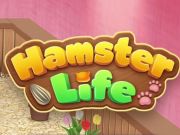 Oyunu Hamster Yaşam Bulmacası  çevrimiçi