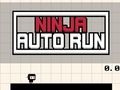 Oyunu Ninja Otomatik Çalıştırma  çevrimiçi