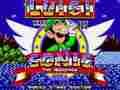 Oyunu Sonic'te Luigi  çevrimiçi