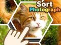Oyunu Fotoğraf Sırala çevrimiçi