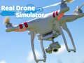 Oyunu Gerçek Drone Simülatörü  çevrimiçi