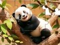 Oyunu Yapboz: Ağaçtaki Panda  çevrimiçi