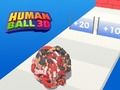 Oyunu İnsan topu 3D çevrimiçi
