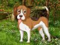 Oyunu Çiçek Bahçesi Köpekten Kaçış  çevrimiçi
